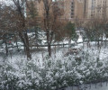 今天又下雪了！
